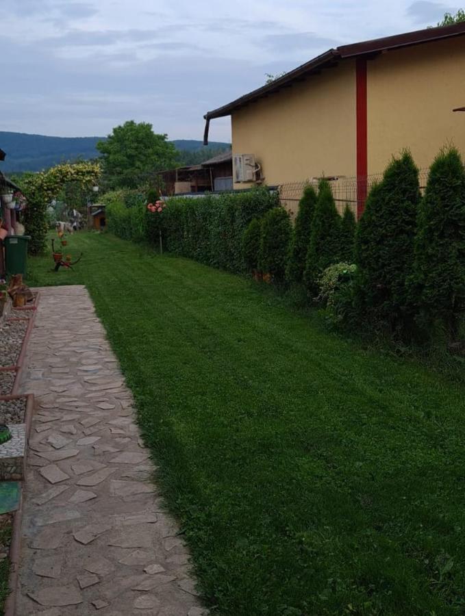 Hotel Casa Ursului Bujoreni Exteriér fotografie