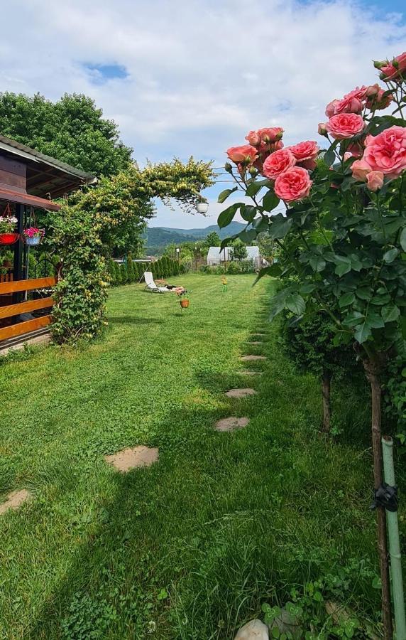 Hotel Casa Ursului Bujoreni Exteriér fotografie